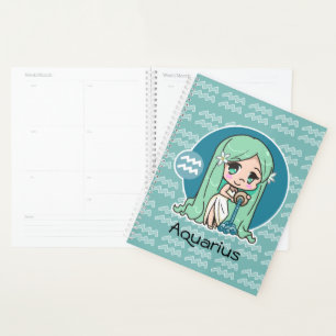 Aquarius Planer