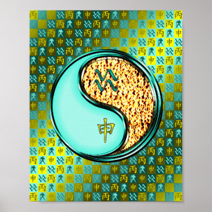 Aquarius und Feueraffe Poster