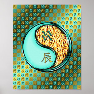 Aquarius und Feuerdrache Poster