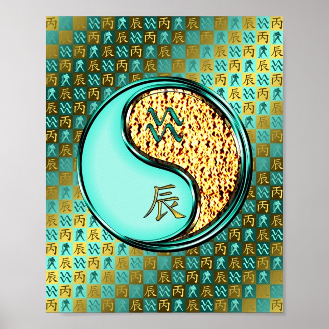 Aquarius und Feuerdrache Poster (Vorne)