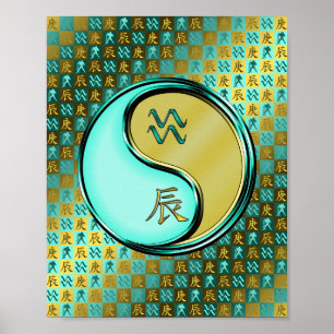 Aquarius und Metalldrache Poster