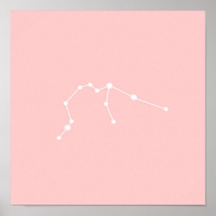 Aquarius Zodiac Constellation Modernes Rosa Poster