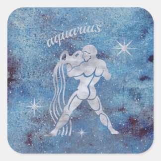 Aquarius Zodiac Sign Stickers