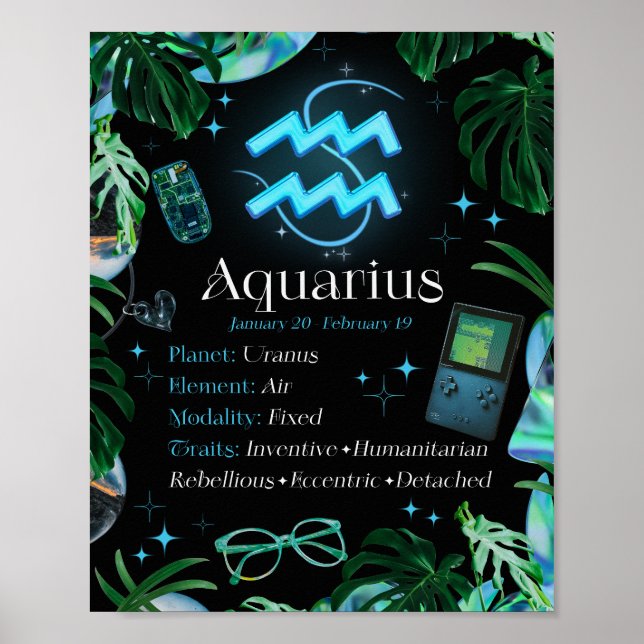 Aquarius Zodiac Star Sign Y2K Black Poster (Vorne)