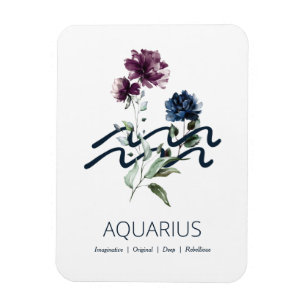 Aquarius Zodiac Sternzeichen Magnet