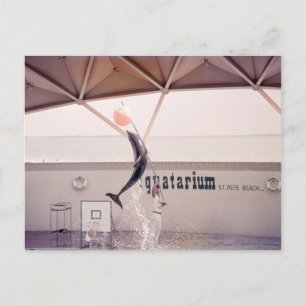 Aquatarium St. Pete Beach Florida Postkarte