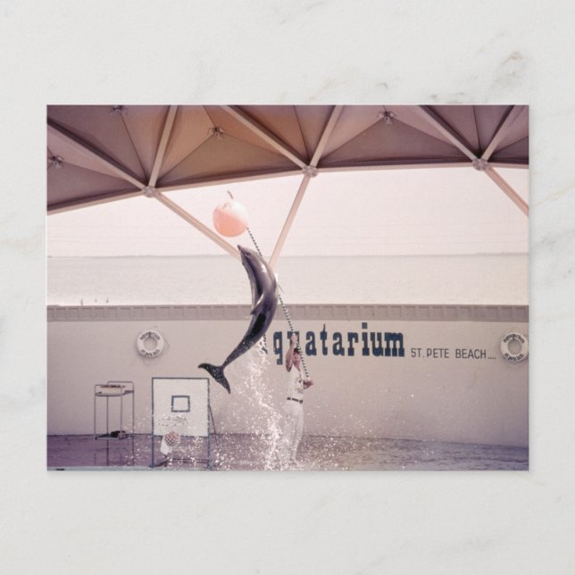 Aquatarium St. Pete Beach Florida Postkarte (Vorderseite)