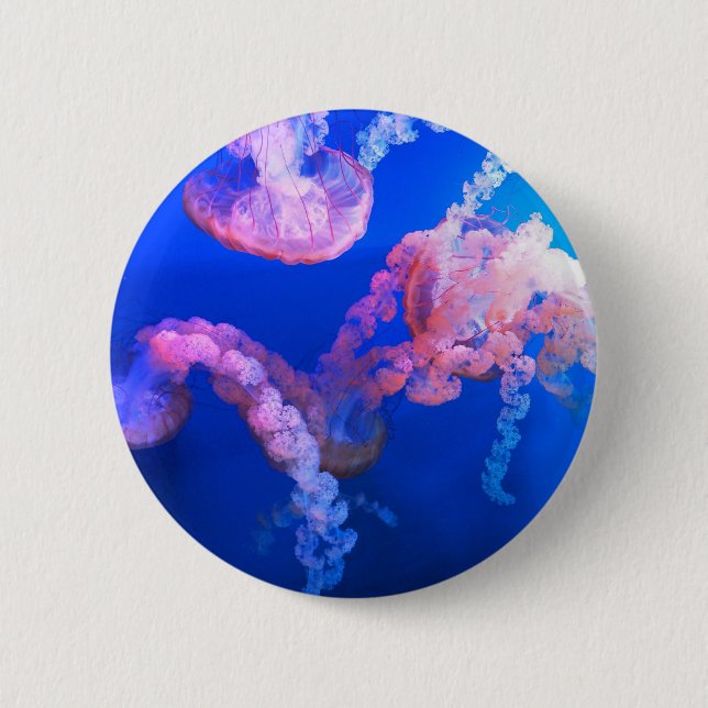 Aquatic Nautical Fotos Meerestierfotografie Button (Vorderseite)
