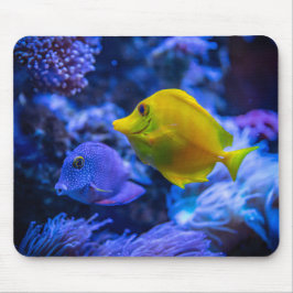 Aquatic Nautical Fotos Meerestierfotografie Mousepad