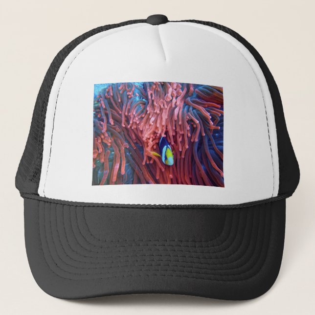 Aquatic Nautical Fotos Meerestierfotografie Truckerkappe (Vorderseite)