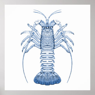 Aquatische Kunst ~ Hummer Poster