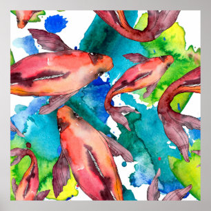 Aquatisches Set. Rotes Meer und exotische Fische i Poster