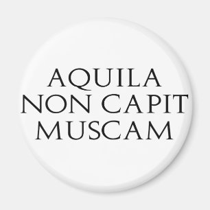 Aquila nicht Capit Muscam Magnet