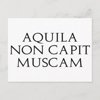Aquila Non Capit Muscam Postkarte