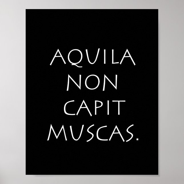 Aquila non capit muscas poster (Vorne)