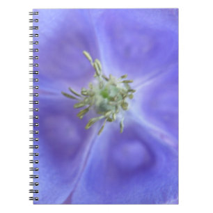 Aquilegia Blume Notebook Notizblock