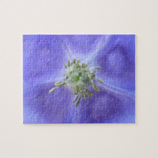 Aquilegia Blume Puzzle (Horizontal)