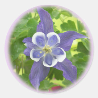 Aquilegia Columbine Blume Round Stickers