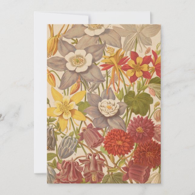 Aquilegia | George Nicholson (Vorderseite)