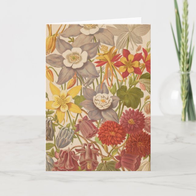 Aquilegia | George Nicholson Karte (Vorderseite)