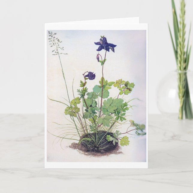 Aquilegia vulgaris Blume, Albrecht Durer Karte (Vorderseite)