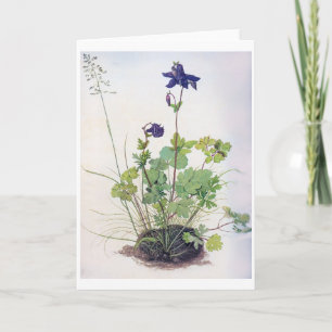 Aquilegia vulgaris Blume, Albrecht Durer Karte