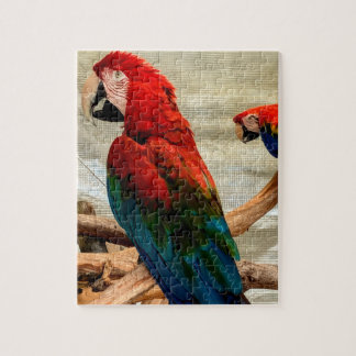 Ara auf Baumast-Puzzle Puzzle