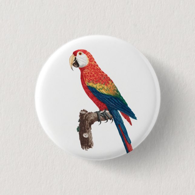 Ara Canga Parrot Button (Vorderseite)