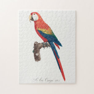 Ara Canga Parrot Puzzle