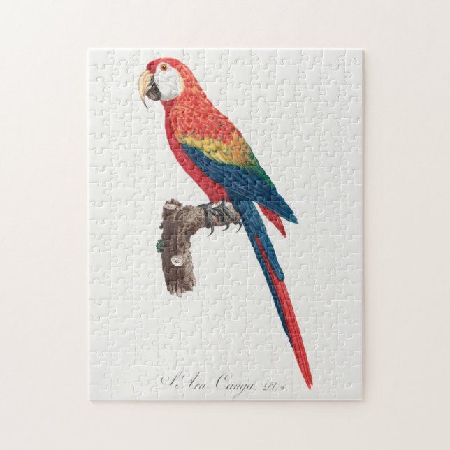 Ara Canga Parrot Puzzle (Vertikal)