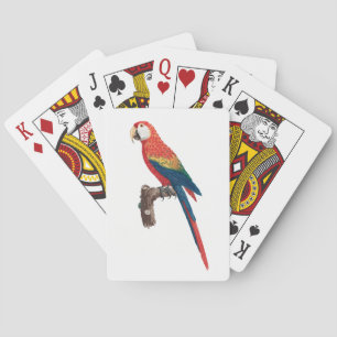 Ara Canga Parrot Spielkarten