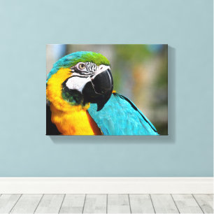 Ara Druck, Wertposter Papier (Matt) Leinwanddruck