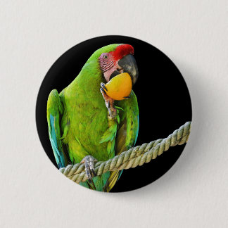 Ara Militaris Grüner Paprot Button