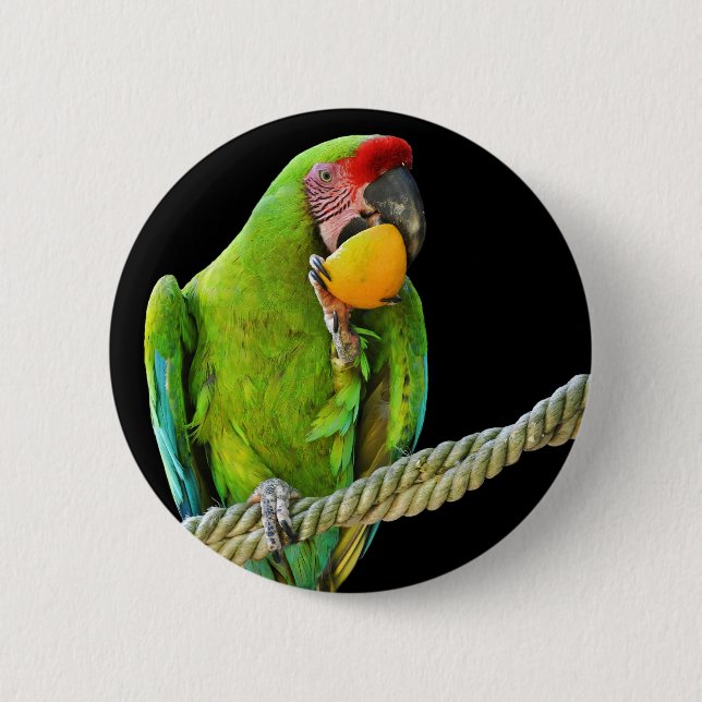 Ara Militaris Grüner Paprot Button (Vorderseite)