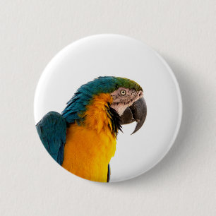 Ara Papagei Foto Button