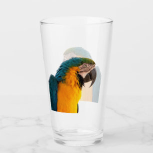 Ara Papagei Foto Glas