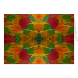 Ara-Papageienfeder-Kaleidoskop