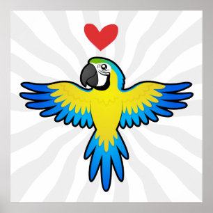 Ara / Papageienliebe Poster