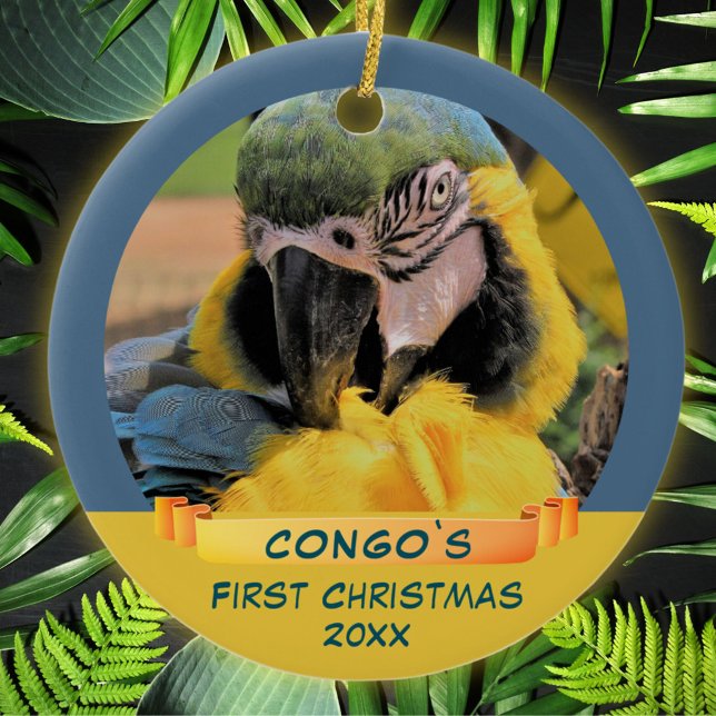Ara Parrot Pet 1. Weihnachtsband Foto Keramik Ornament (Von Creator hochgeladen)
