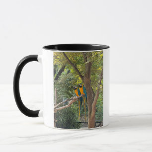 Ara-Vögel Foto-Tasse Tasse
