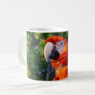 Ara-Vogel Kaffeetasse