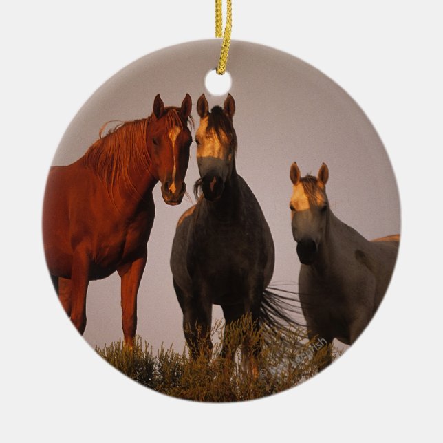 Araber am Sonnenuntergang Keramikornament (Vorne)