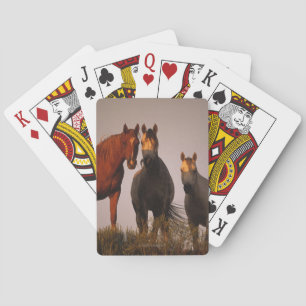 Araber bei Sunset Spielkarten