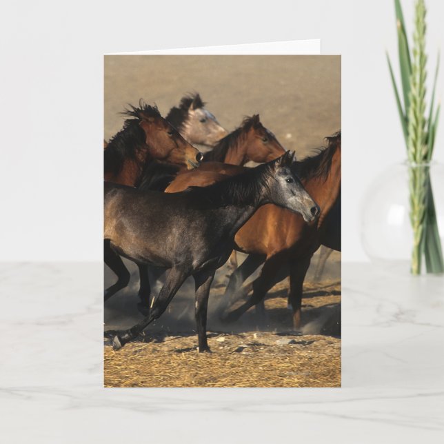 Araber, die in die Wüste laufen Karte (Vorderseite)