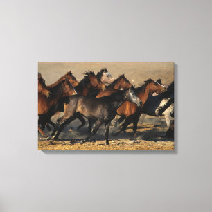 Araber, die in die Wüste laufen Leinwanddruck