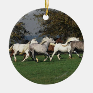 Araber, die in Feld laufen Keramikornament