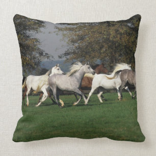 Araber, die in Feld laufen Kissen