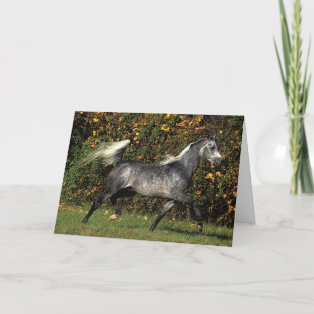 Araber-Laufen: Herbst Karte (Vorderseite)