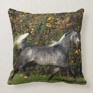 Araber-Laufen: Herbst Kissen