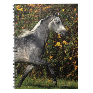 Araber-Laufen: Herbst Notizblock